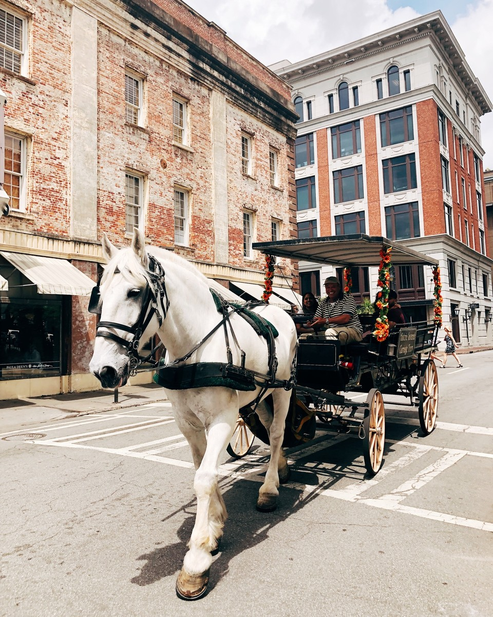 Lucky Savannah Vacation Rentals Horse and Carriage Tour